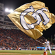 Illustration for article titled Tragic Death Of Player Naturally Turns Georgia Tech Coach's Mind To Recruiting